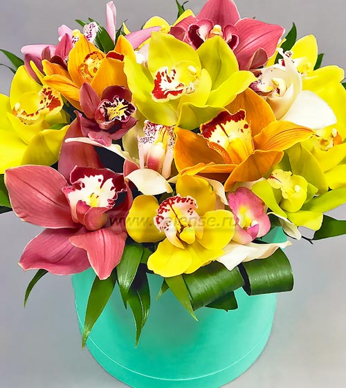 Орхидея микс - доставка цветов Валенсе