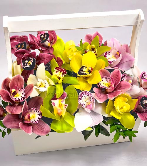 Ящик Орхидей - доставка цветов Валенсе