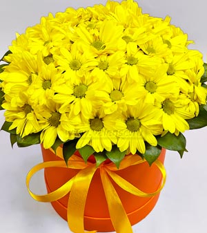 Хризантемы в коробке