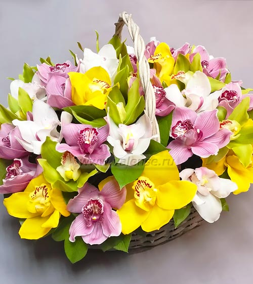 Корзина орхидей - доставка цветов Валенсе