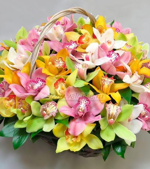 Корзина 51 орхидея - доставка цветов Валенсе