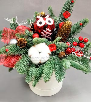 Коробочка зимняя