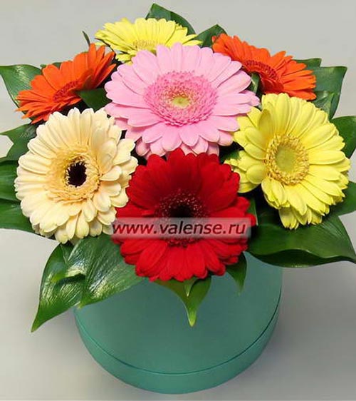 KM-4025 - доставка цветов Валенсе