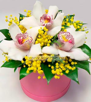 Орхидея и мимоза