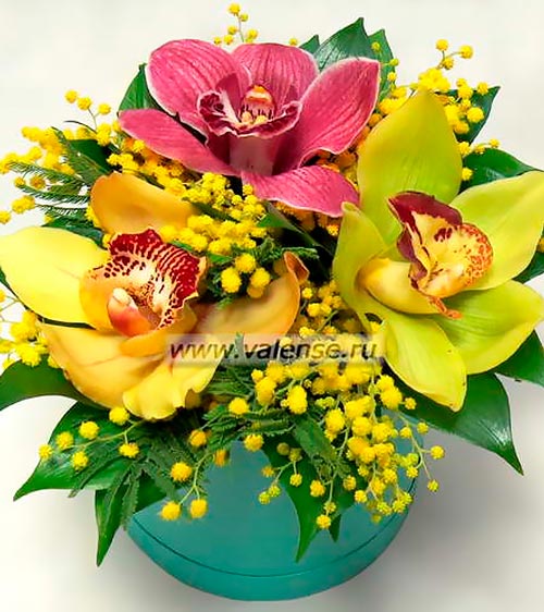 Орхидея с мимозой - доставка цветов Валенсе