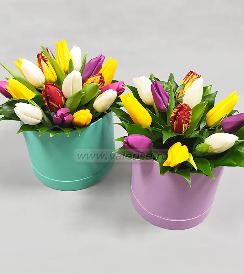 Коробочка тюльпанов - доставка цветов Валенсе вариант исполнения 1 