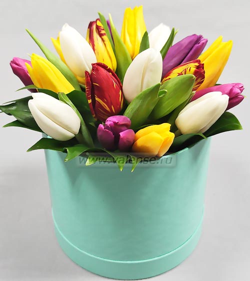 15 - 21 тюльпан - доставка цветов Валенсе