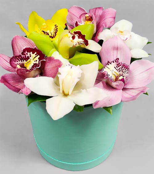 7 орхидей - доставка цветов Валенсе