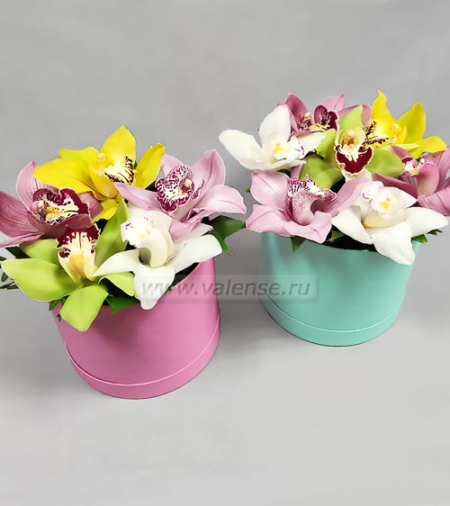 7 орхидей - доставка цветов Валенсе вариант исполнения 1 