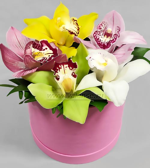7 орхидей - доставка цветов Валенсе вариант исполнения 2 