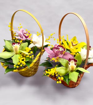 3 - 5 орхидей с мимозой