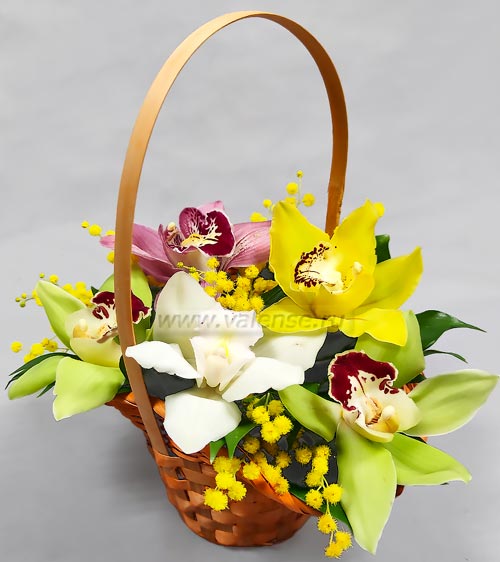 3 - 5 орхидей с мимозой - доставка цветов Валенсе вариант исполнения 1 
