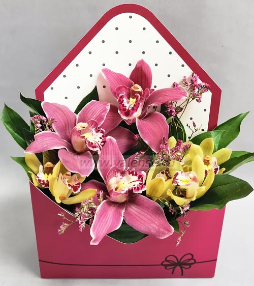 Орхидеи в конверте - доставка цветов Валенсе