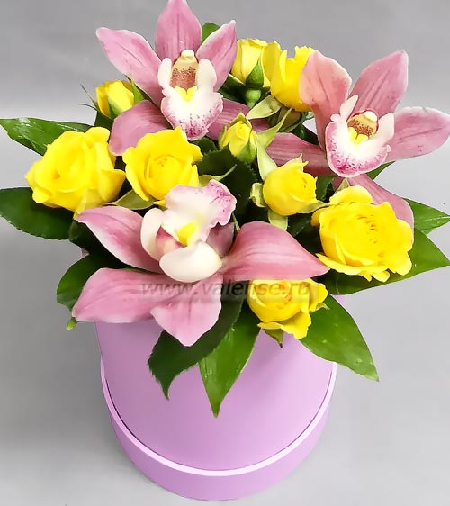 Розы и орхидеи - доставка цветов Валенсе