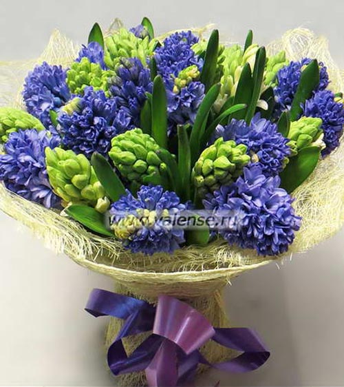 Гиацинты сине-зеленые - доставка цветов Валенсе
