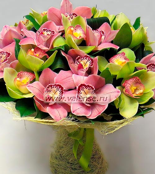 21 Орхидея микс - доставка цветов Валенсе