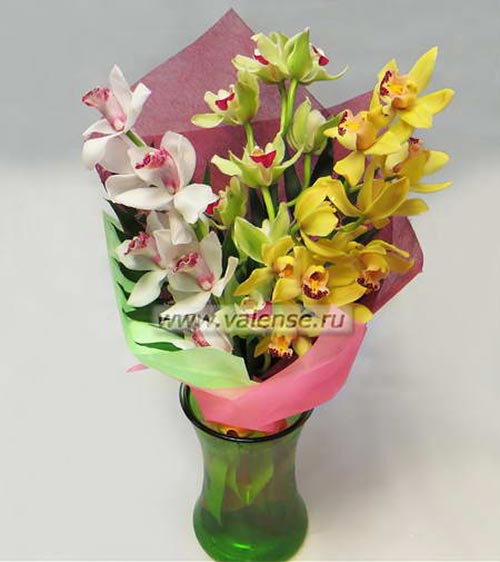 Орхидеи микс - доставка цветов Валенсе
