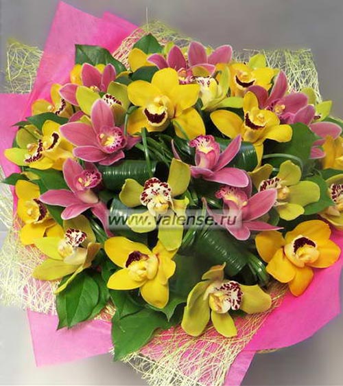 Букет орхидей - доставка цветов Валенсе