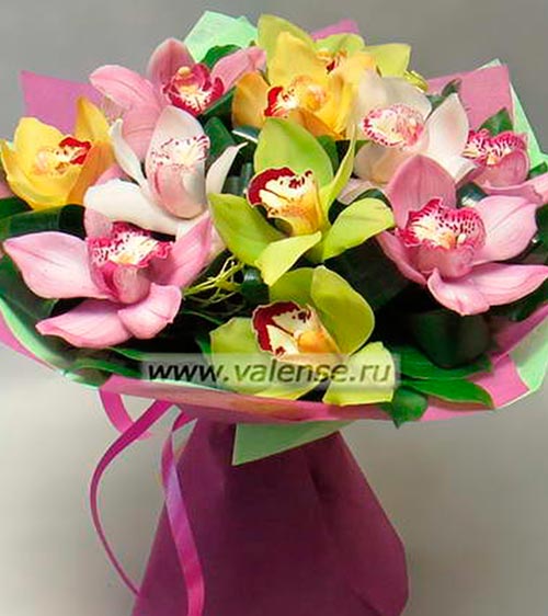 11 Орхидей - доставка цветов Валенсе