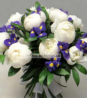 Пионы и ирисы