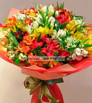 31 Альстромерия