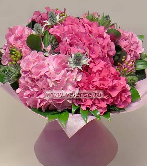 Гортензия розовая - доставка цветов Валенсе