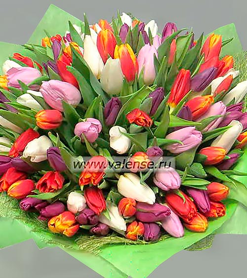 101 Тюльпан - доставка цветов Валенсе вариант исполнения 1 