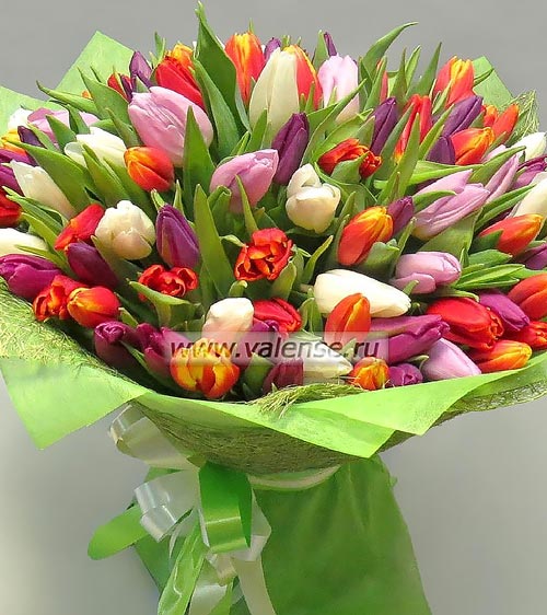 101 Тюльпан - доставка цветов Валенсе