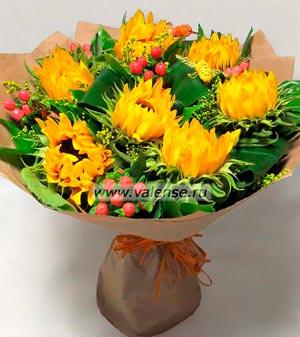 Подсолнухи и ягодки