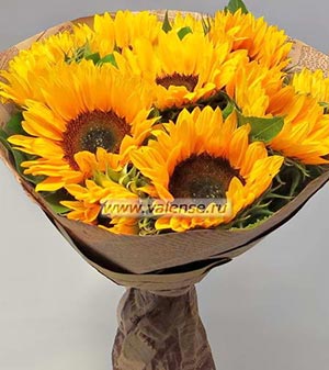 Подсолнухи