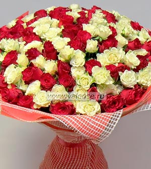 101 роза, кустовая роза