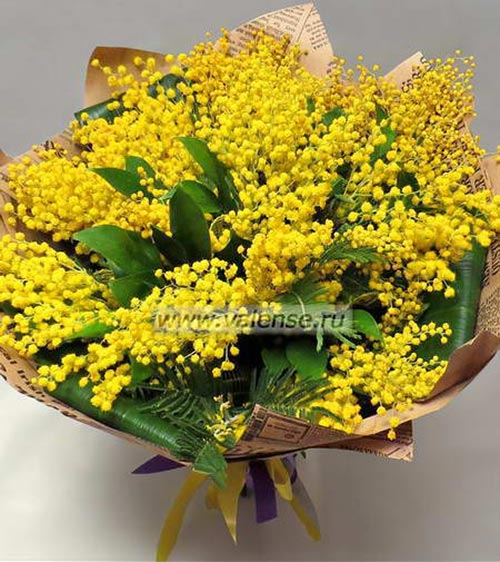 Букет мимозы - доставка цветов Валенсе