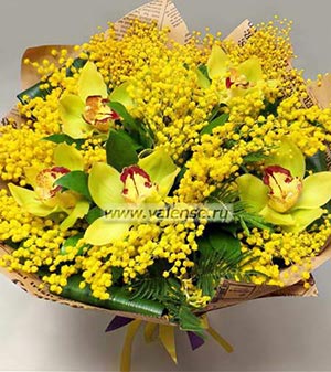 Орхидея, мимоза