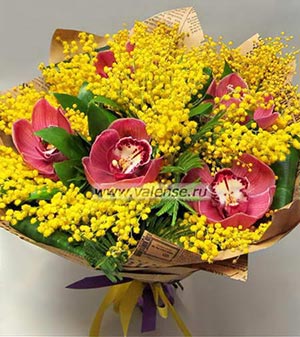 Орхидея, мимоза