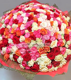 201 роза микс