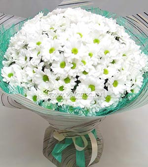 25 Хризантем