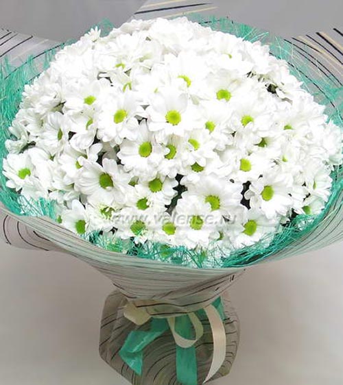 Хризантемы белые - доставка цветов Валенсе