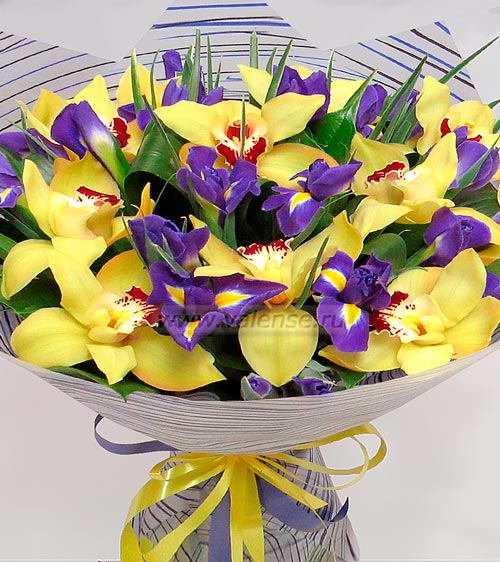 Орхидеи и ирисы - доставка цветов Валенсе