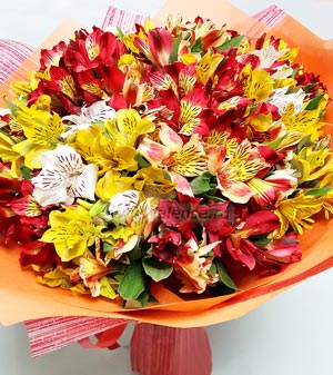 21 Альстромерия микс