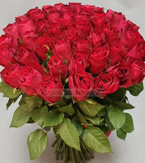 51 Роза красная - доставка цветов Валенсе