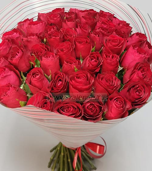 51 Роза красная 50см - доставка цветов Валенсе