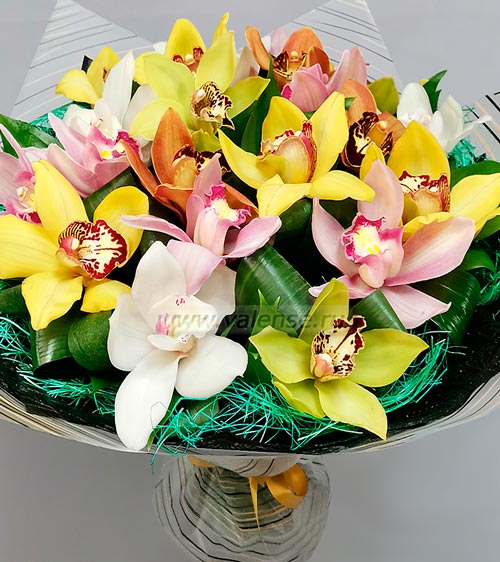 17 Орхидея микс - доставка цветов Валенсе