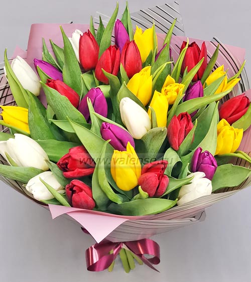 31 тюльпан микс - доставка цветов Валенсе
