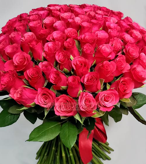 101 роза Малинка - доставка цветов Валенсе