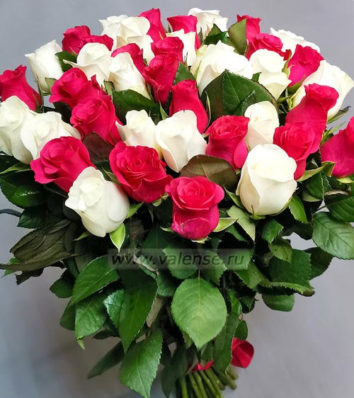 101 роза Малинка 50см - доставка цветов Валенсе вариант исполнения 2 