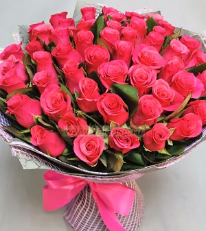 51 Роза Малинка