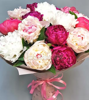 15 пионов микс