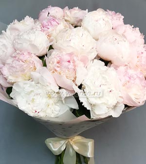 Пионы пушистики