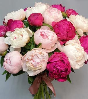 17 пионов микс