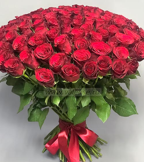 101 Роза красная 50см - доставка цветов Валенсе